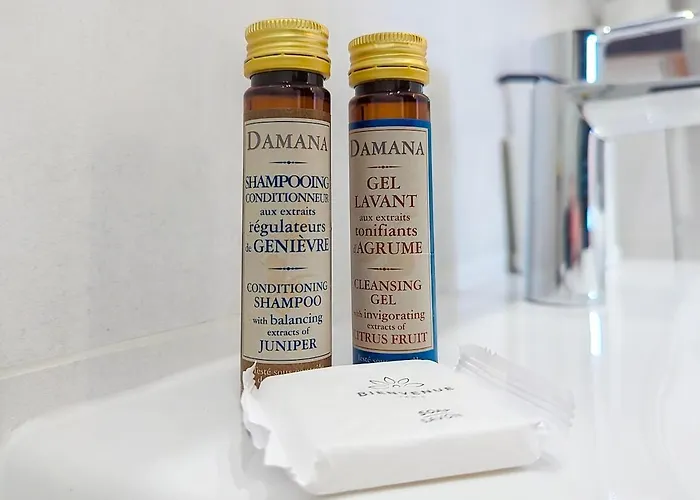 Moderne Et Agreable - La Belle Epoque Argenteuil